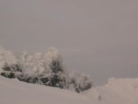 mont_006_425.jpg