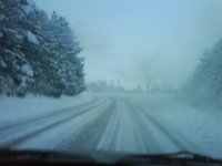 dsc00050_132.jpg