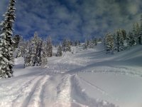 16_12_07_1117_764.jpg