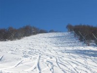 img_4606_100.jpg