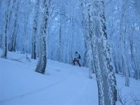 img_4599_521.jpg
