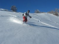 img_4589_964.jpg