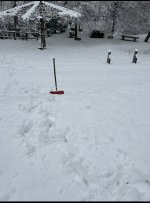 IMG_9372.jpeg