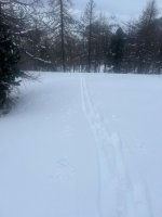 6e2fbce7-7545-4066-b742-69cfbb9a0ff4.jpeg