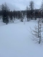 0000dc2b-65ad-4f6f-8718-fcdf991bebc4.jpeg