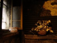 interno-case-casso.jpg