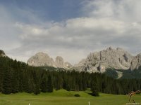 dolomiti-wlf.jpg