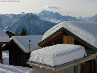 DSCN7993.jpg