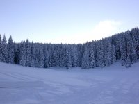 paesaggi0220.jpg