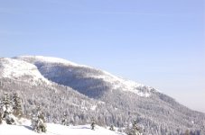 paesaggi0193.jpg