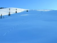 DSCN0480.jpg