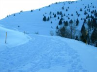 DSCN0478.jpg