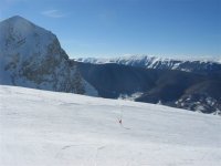 IMG_4731.JPG