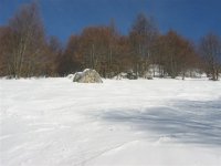 IMG_4753.JPG