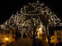 IMG_4716.JPG