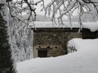 IMG_1105.jpg