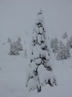 IMG_1114.jpg