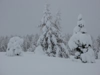 IMG_1116.jpg