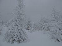 IMG_1122.jpg