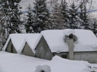 Copia di Immagine 011.jpg