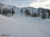 DSCN7767.jpg