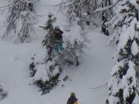 mauri powder.JPG