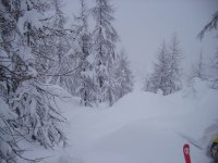 panorama.jpg