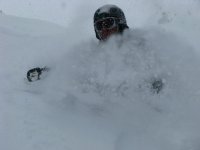 IMG_2711.JPG