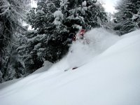 IMG_2715.JPG