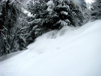 IMG_2717.JPG