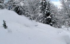 IMG_2737.JPG