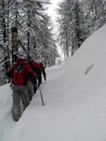 IMG_2741.JPG