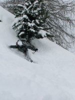 IMG_2742.JPG