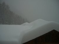 Cimg0047.jpg