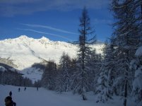 Cimg0085.jpg
