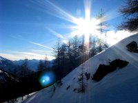 IMG_2749.JPG