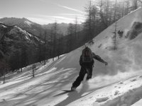 IMG_2750.JPG
