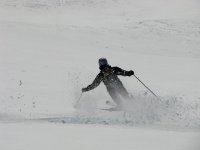 IMG_2779.JPG