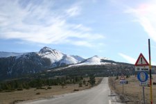 IMG_1384.jpg