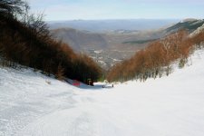 IMG_1394.jpg