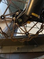 IMG_5300.jpeg