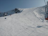 IMG_0311.JPG