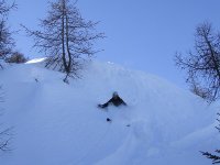 derapata mauri.JPG