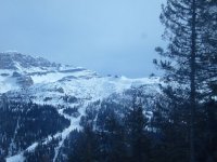 tn_S1030741.JPG