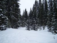 tn_S1030755.JPG