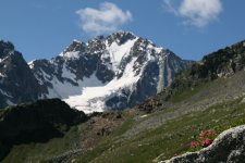IMG_1987.jpg