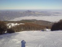 DSC00244.JPG