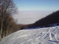 DSC00249.JPG