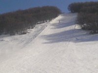 DSC00270.JPG
