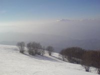 DSC00271.JPG